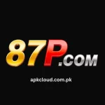 87P Game