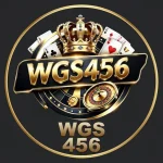 WGS456 Game