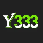 Y333 Game