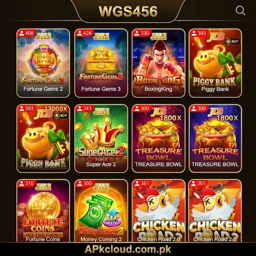WGS456 Game